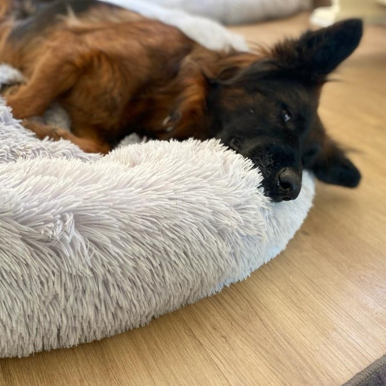 Fluffyhundebett®Deluxe 'Wolke 7' hundebett