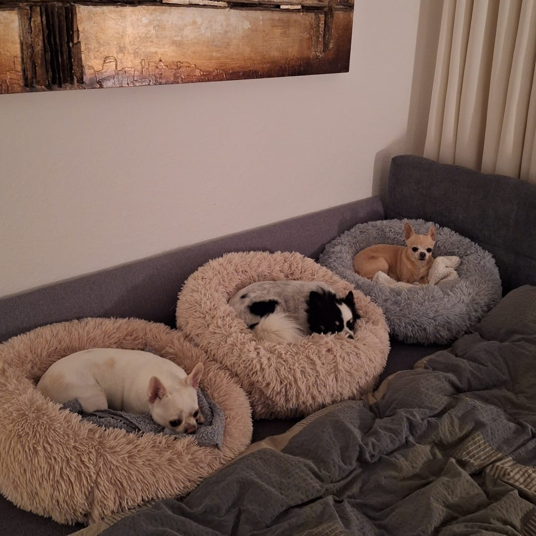 Fluffyhundebett®Deluxe 'Wolke 7' hundebett
